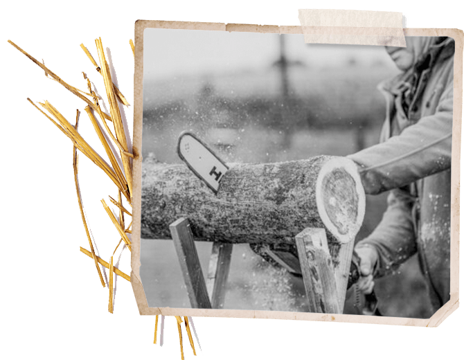 Zorgboederijbladel_Template_Photo