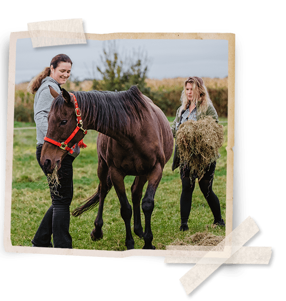 Zorgboederijbladel_Template_Photo_1deel3_Tape