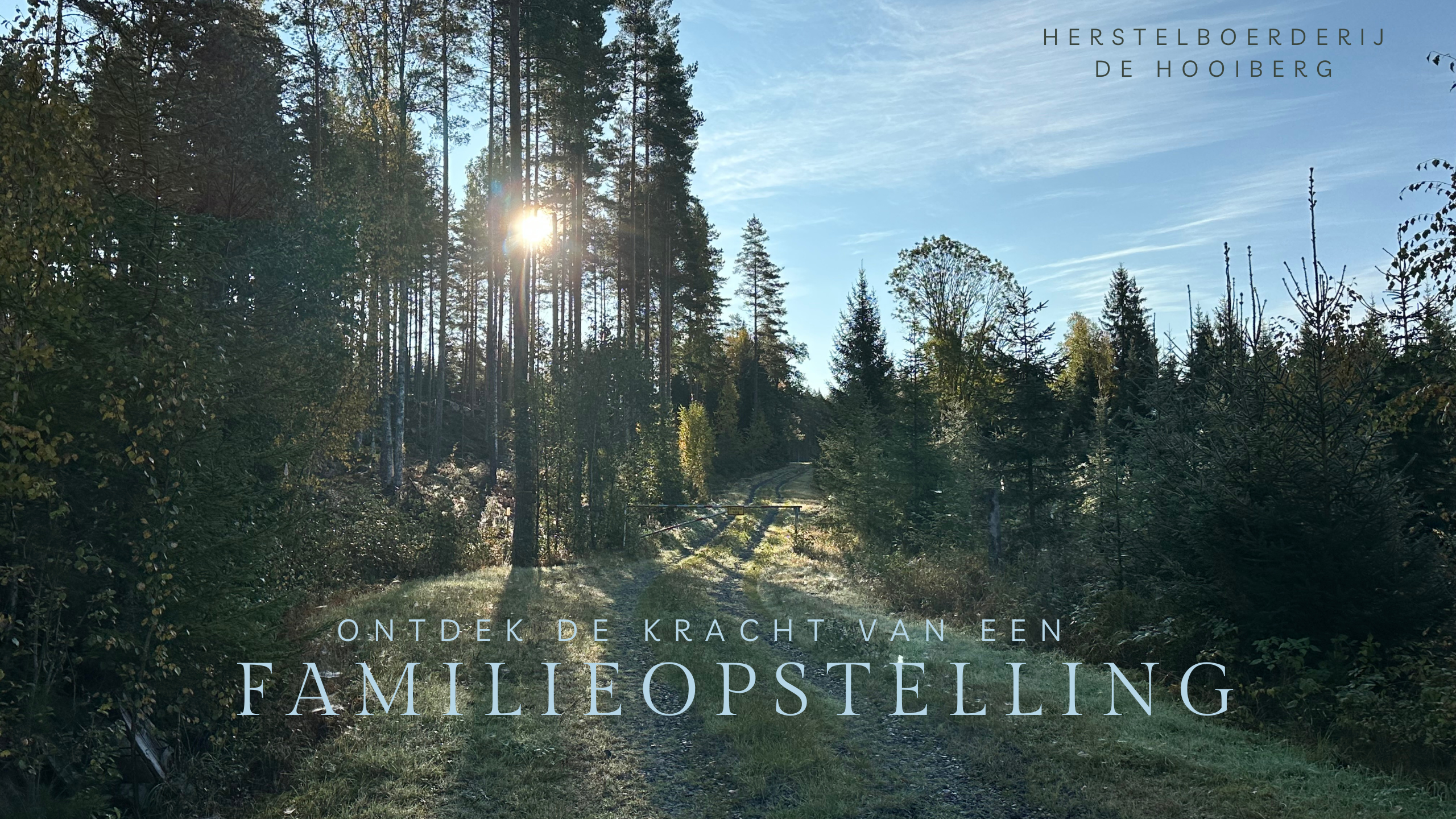 ontdek de kracht van een familieopstelling